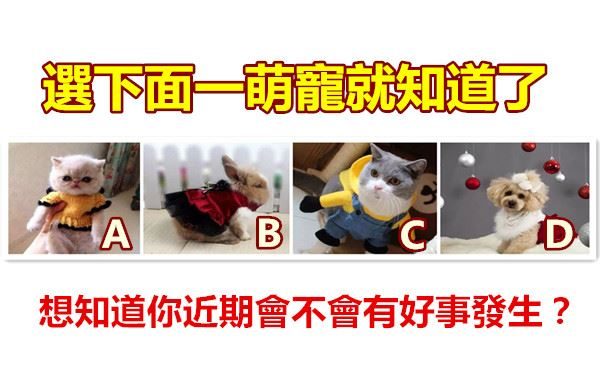 想知道你近期會不會有好事發生?選下面一萌寵就知道了