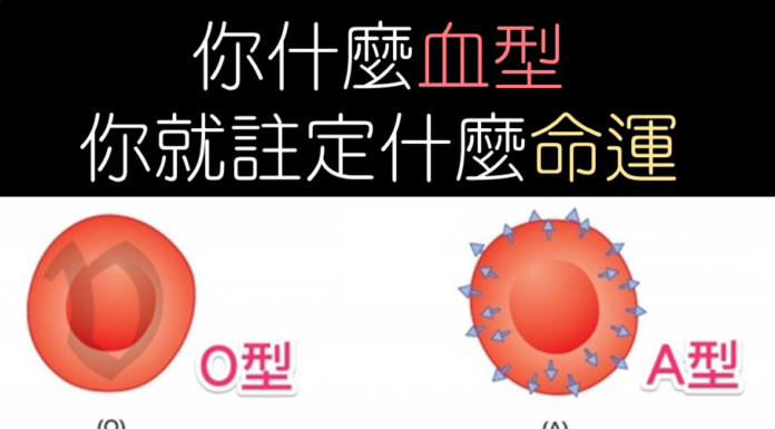 你什麼血型就注定什麼命運,準到心痛一生就這樣被看透了