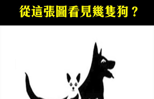你看見幾隻狗?看你的心理年齡!