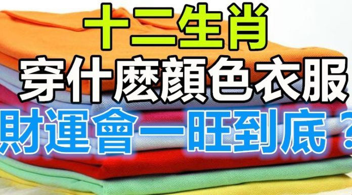 2019年12生肖只要穿對了顏色的衣服,財運會旺到底!