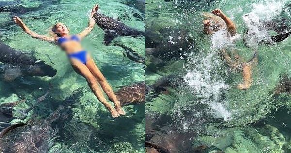 女模海邊拍照,攝像機拍下她被鯊魚咬的瞬間!這比任何照片還難得!