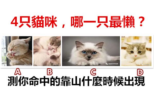 41126-e75e185eb4294114a94a2bef5d329e30.jpg