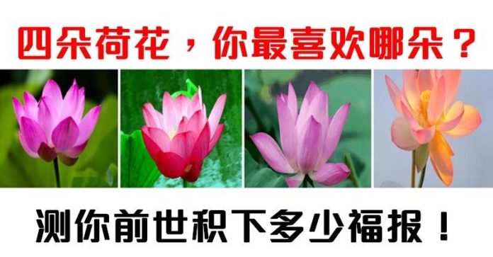 6d3c0d9c2cef47149cd96e187cc29073