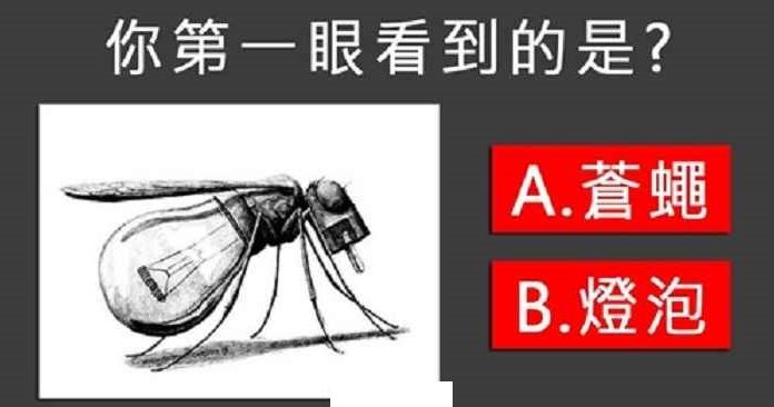 你第一眼看到的是什麼?分析你的個性是理性還是直覺!