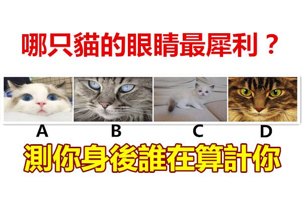 87dd6f15435d4aa0b8ff413fff3db3d2