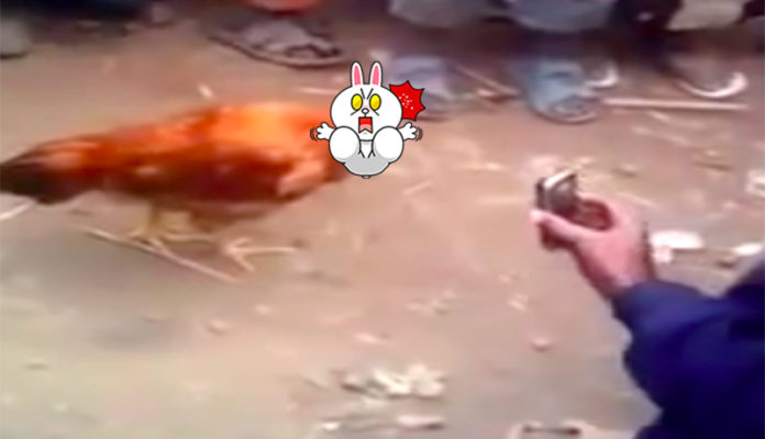未命名-1