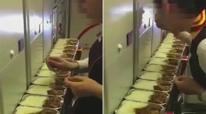 飛機餐太好吃?空姐一字排開「猛吃到被停飛」,但網友看了全搖頭:「怪錯人了」!