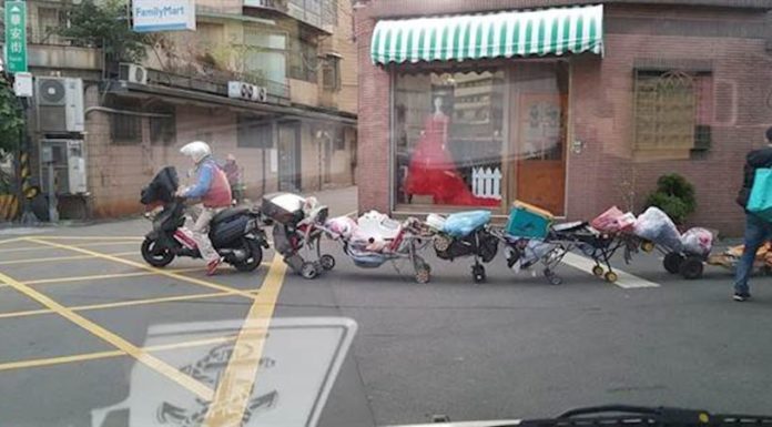 板橋「超狂蜈蚣車」出沒!網友笑甲落下頦