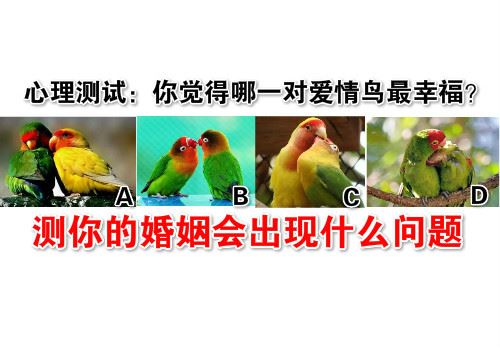 你覺得哪一對愛情鳥最幸福?測你的婚姻會出現什麼問題