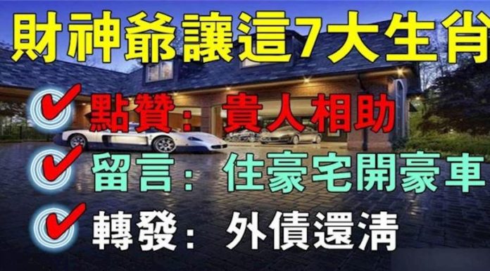 財神爺說這七大生肖,豬年財運旺不停