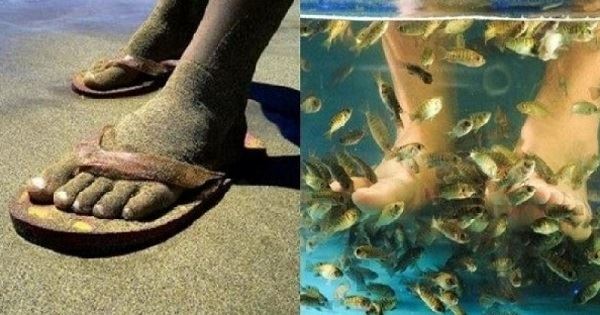 男子十年沒洗過腳!和女朋友約會去做魚療足浴,結帳時老闆看傻了,直接給免費!