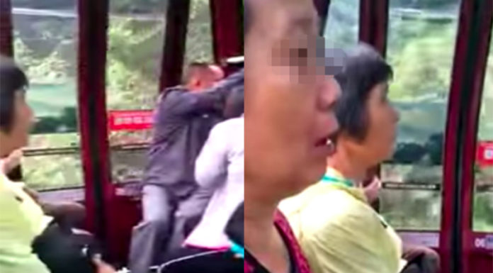 他搭錯「雲頂纜車」頓時佛光滿溢…網笑:搭完感覺被淨化了!
