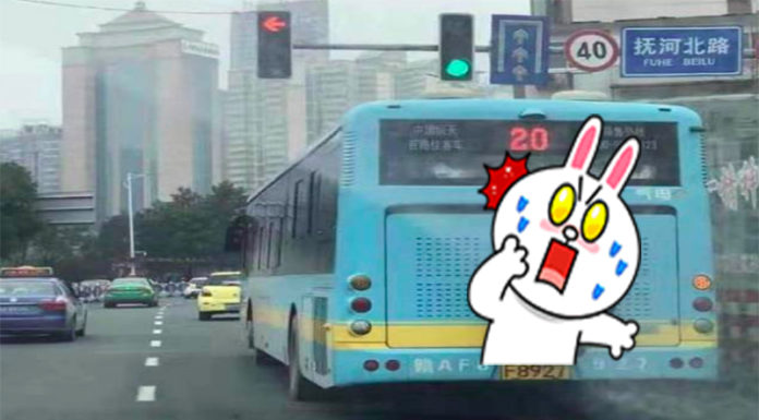大陸驚見「蜘蛛人」搭便車…網笑翻:母湯,神盾局要來調查了!