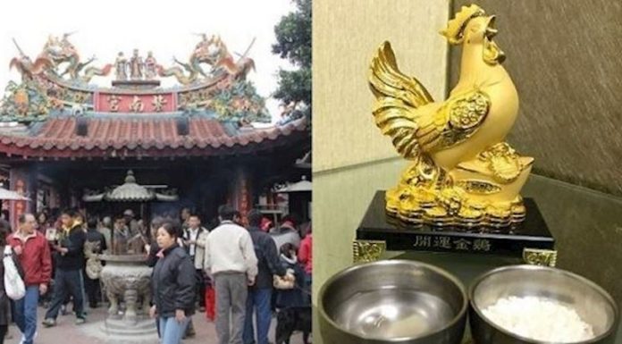 求金雞母回家拜!他拜完「生意越變越差」氣到想丟掉 朋友好奇問「開什麼店」笑翻:會賺錢我輸你