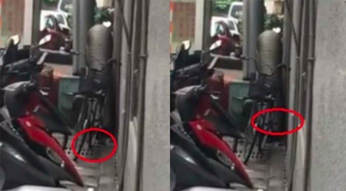 不是祖母在運動!暗巷驚見腳踏車踏板「瘋狂倒空轉」眼尖網友一看就笑了